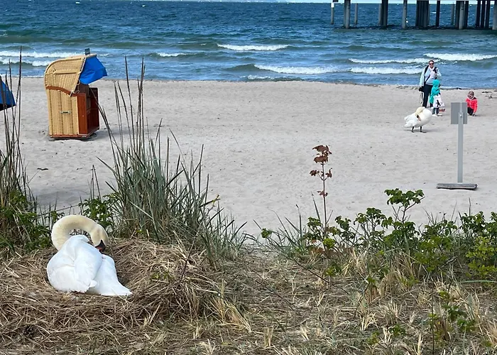Kuestenherz-timmendorf * Timmendorfer Strand